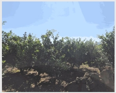 2025Ÿ��1674 ���� ���ֽ� �Ѱ�� û���� 1653      ���ð��