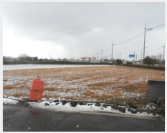  2025Ÿ6006  ֽ Ѹ Ѹ 842      (1)