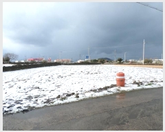  2025Ÿ6006  ֽ Ѹ Ѹ 842      (1)