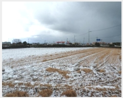  2025Ÿ6006  ֽ Ѹ Ѹ 842      (1)