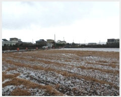  2025Ÿ6006  ֽ Ѹ Ѹ 842      (1)