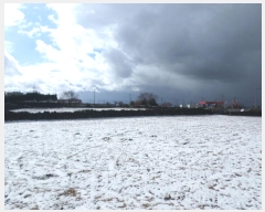  2025Ÿ6006  ֽ Ѹ Ѹ 842      (1)