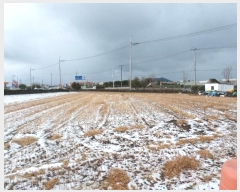  2025Ÿ6006  ֽ Ѹ Ѹ 842      (1)