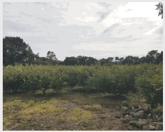  2025Ÿ6778    ǳ 777-11      ()