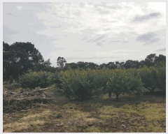  2025Ÿ6778    ǳ 777-11      ()