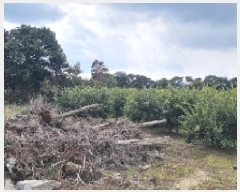  2025Ÿ6778    ǳ 777-11      ()