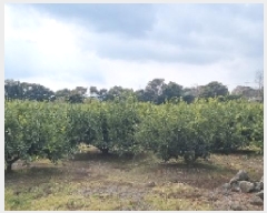  2025Ÿ6778    ǳ 777-11      ()