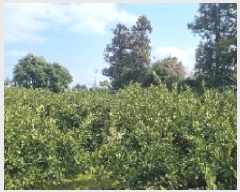  2025Ÿ��6884 ���� �������� ��ȫ�� 741       ����(��1)���