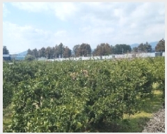  2025Ÿ��6884 ���� �������� ��ȫ�� 741       ����(��1)���