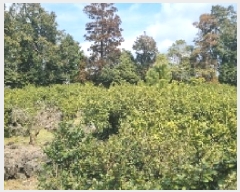  2025Ÿ��6884 ���� �������� ��ȫ�� 742       ����(��1)���