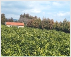  2025Ÿ��6884 ���� �������� ��ȫ�� 742       ����(��1)���