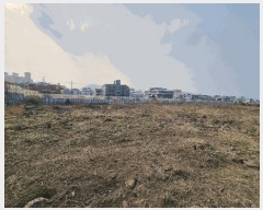  2025Ÿ7490  ֽ ȭϵ 1907-2       ()