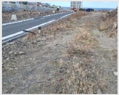  2025Ÿ7490  ֽ ȭϵ 1907-2       ()