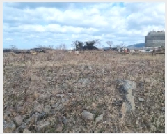  2025Ÿ7490  ֽ ȭϵ 1907-2       ()