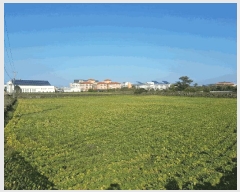  2025Ÿ7564  ֽ  ȭ 2384      (Ӿ)