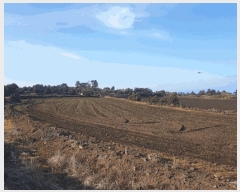  2025Ÿ7564  ֽ  ȭ 2384      (Ӿ)