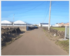  2025Ÿ7564  ֽ  ȭ 2384      (Ӿ)