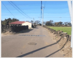  2025Ÿ7564  ֽ  ȭ 2384      (Ӿ)