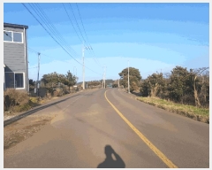  2025Ÿ7564  ֽ  ȭ 2384      (Ӿ)