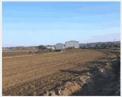  2025Ÿ7564  ֽ  ȭ 2384      (Ӿ)