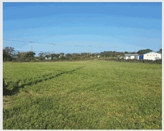  2025Ÿ7564  ֽ  ȭ 2384      (Ӿ)