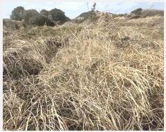  2025Ÿ7579     1907      (Ӿ)