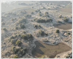  2025Ÿ7579     1907      (Ӿ)