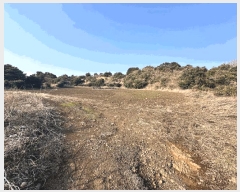  2025Ÿ7579     1907      (Ӿ)