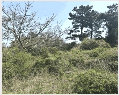  2025Ÿ7579     1907      (Ӿ)