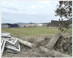  2025Ÿ7642  ֽ ؾȵ 36-45       (1)