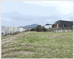  2025Ÿ7642  ֽ ؾȵ 36-45       (1)