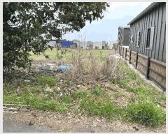  2025Ÿ7642  ֽ ؾȵ 36-45       (1)