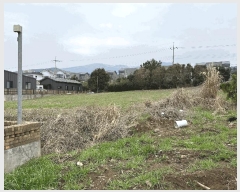  2025Ÿ7642  ֽ ؾȵ 36-45       (1)