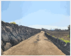  2025Ÿ��7661 ���� ���ֽ� �Ѹ��� �ݾǸ� 1971-6      ����(��1)���