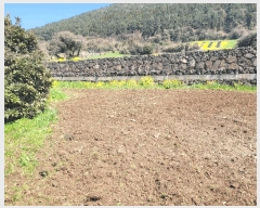  2025Ÿ��7661 ���� ���ֽ� �Ѹ��� �ݾǸ� 1971-6      ����(��1)���