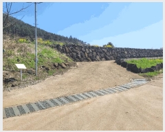  2025Ÿ��7661 ���� ���ֽ� �Ѹ��� �ݾǸ� 1971-6      ����(��1)���