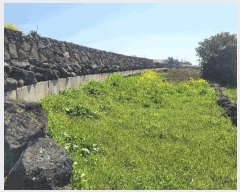  2025Ÿ��7661 ���� ���ֽ� �Ѹ��� �ݾǸ� 1971-6      ����(��1)���