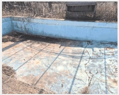  2025Ÿ��7681  �����