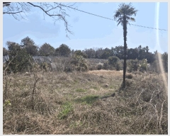  2025Ÿ��7681  �����