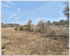  2025Ÿ��7681  �����