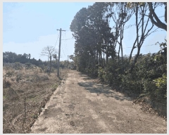  2025Ÿ��7681  �����