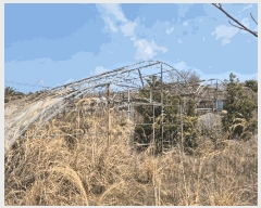  2025Ÿ��7681  �����