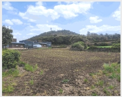  2025Ÿ��7822  �����