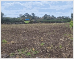  2025Ÿ��7822  �����