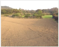  2025Ÿ��7822  �����