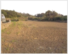  2025Ÿ��7822  �����