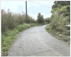  2025Ÿ��7886 ���� �������� �ȴ��� ������ 496      ����(��1)���