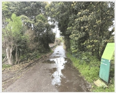  2025Ÿ��7886 ���� �������� �ȴ��� ������ 496      ����(��1)���