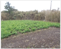  2025Ÿ��7886 ���� �������� �ȴ��� ������ 496      ����(��1)���