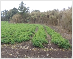  2025Ÿ��7886 ���� �������� �ȴ��� ������ 496      ����(��1)���